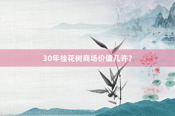 30年桂花树商场价值几许？