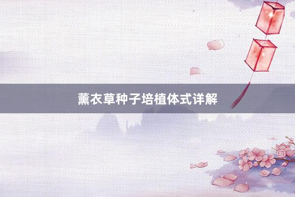 薰衣草种子培植体式详解