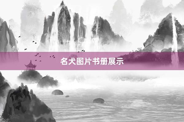 名犬图片书册展示
