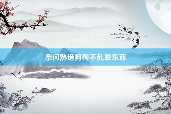 奈何熟谙狗狗不乱咬东西