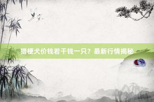 猎梗犬价钱若干钱一只？最新行情揭秘