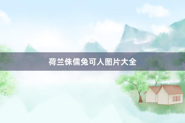 荷兰侏儒兔可人图片大全